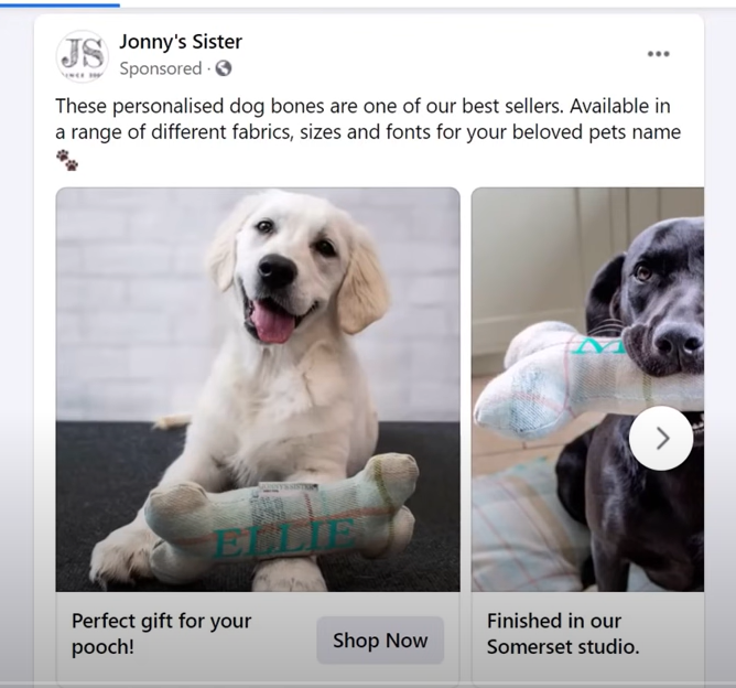 Facebook ad for Jonny's Sister